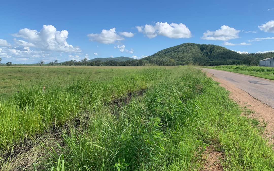 Rural landscape at the Bahr Shirbourne project site showing open grassland and existing access track.