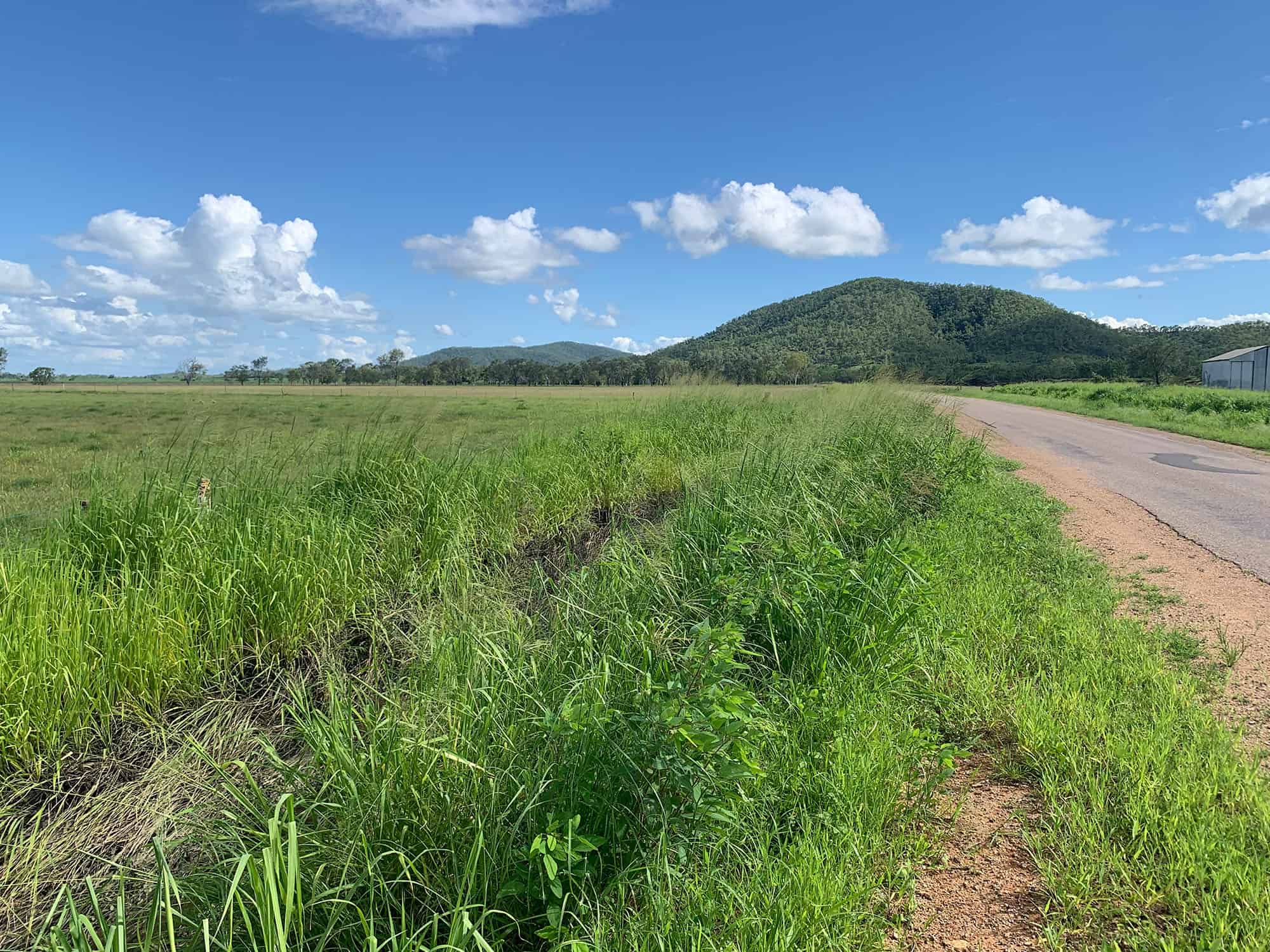 Rural landscape at the Bahr Shirbourne project site showing open grassland and existing access track.