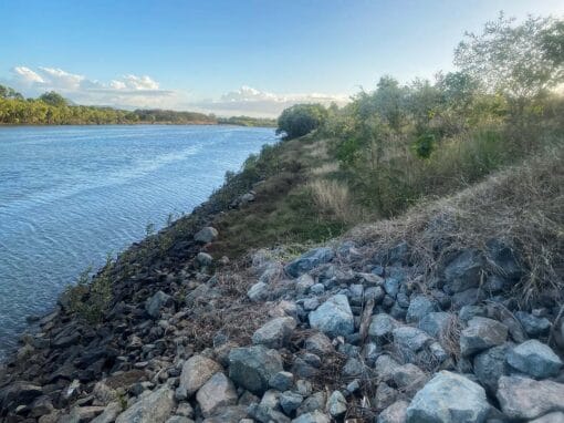 Ross River bank at Bicentennial Park after rehabilitation works, showing completed rock armouring and riverbank stabilisation.