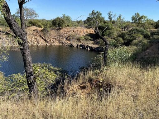Farm dam and surrounding grassland within the Blackjack Mine project area.