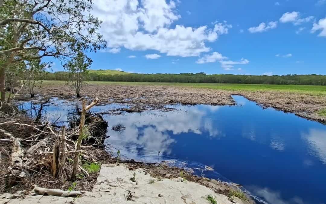 Coastal waterway and surrounding landscape at the Blue Carbon project site near Palmerton.