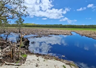Blue Carbon Restoration Project