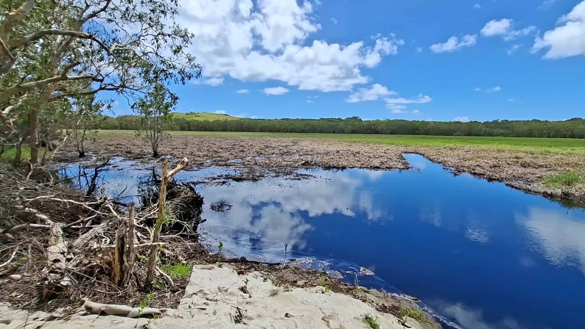 Coastal waterway and surrounding landscape at the Blue Carbon project site near Palmerton.