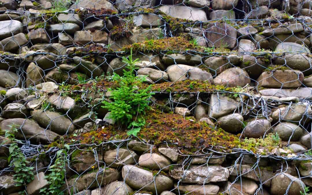 Gabion rock retaining wall supporting a vegetated slope.