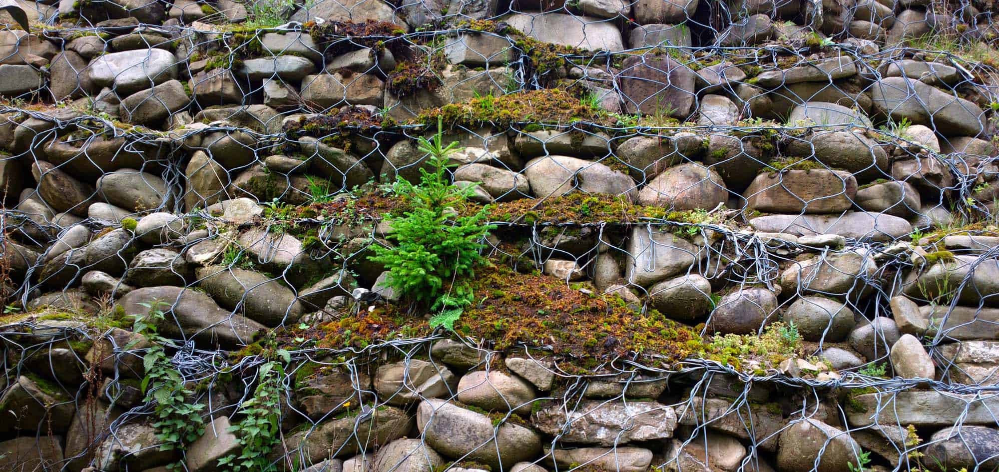 Gabion rock retaining wall supporting a vegetated slope.