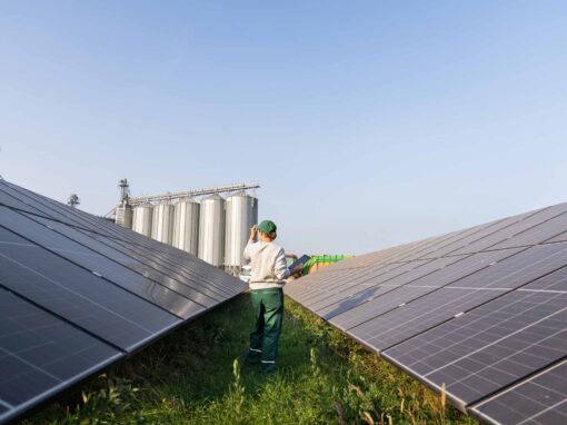 Green Hydrogen Project for renewable energy at Lansdown Eco Park