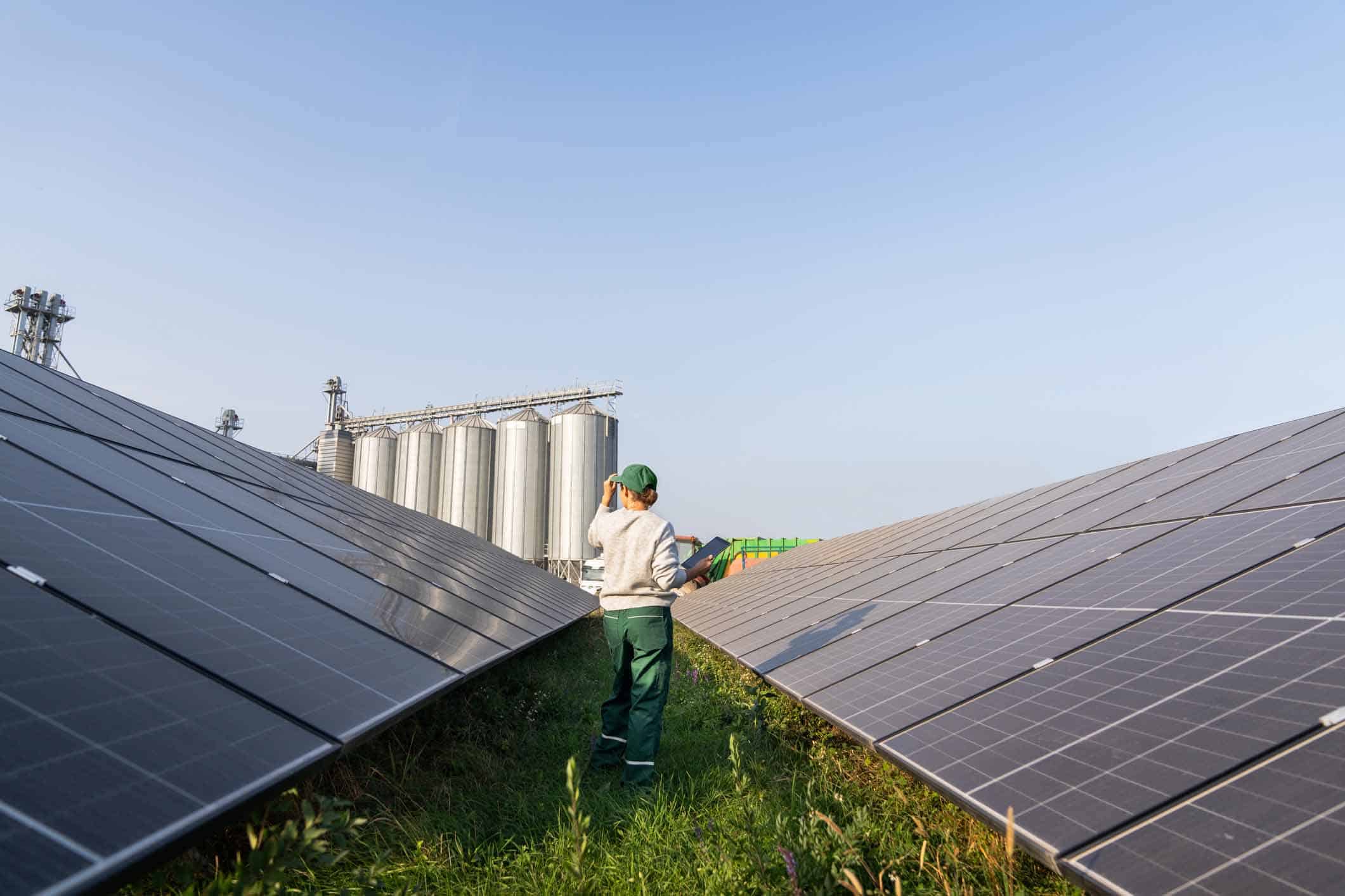 Green Hydrogen Project for renewable energy at Lansdown Eco Park