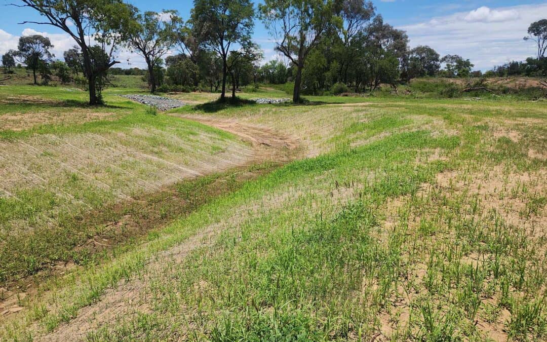 Completed drainage works at Havilah Station showing a vegetated drainage channel and rehabilitated surrounding area.