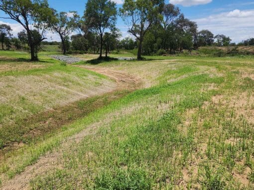 Completed drainage works at Havilah Station showing a vegetated drainage channel and rehabilitated surrounding area.