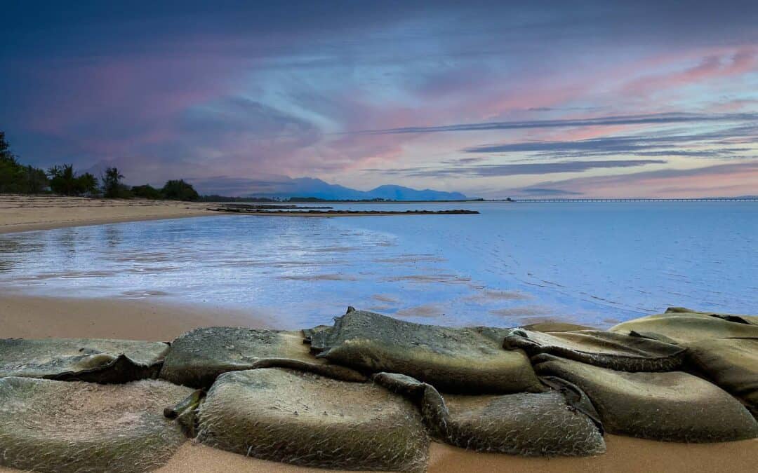 Lucinda Groyne Field Replacement