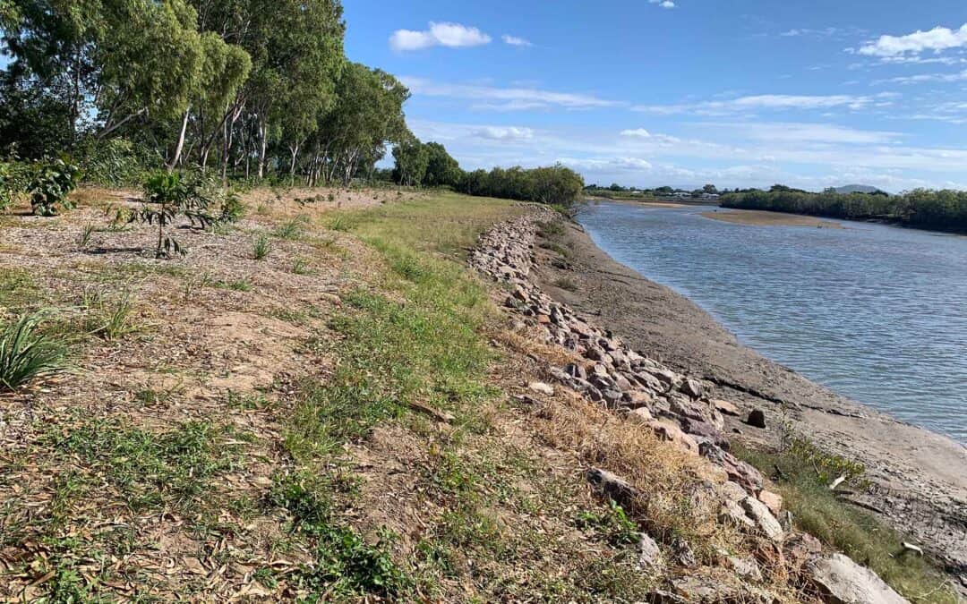 View of the Ross River bank at Oonoonba showing the rehabilitated riverbank and surrounding vegetation.