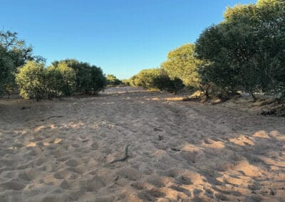 Powell Creek Solar Farm Access Roads