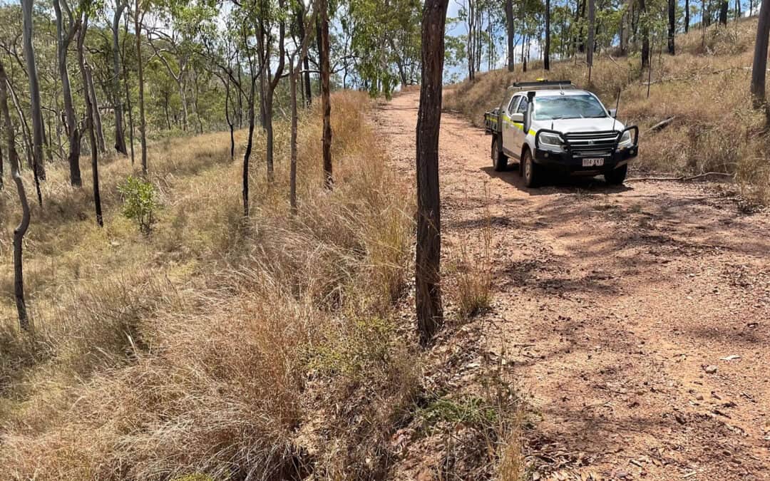 Existing access track through the Townsville Field Training Area showing native woodland and project surroundings.