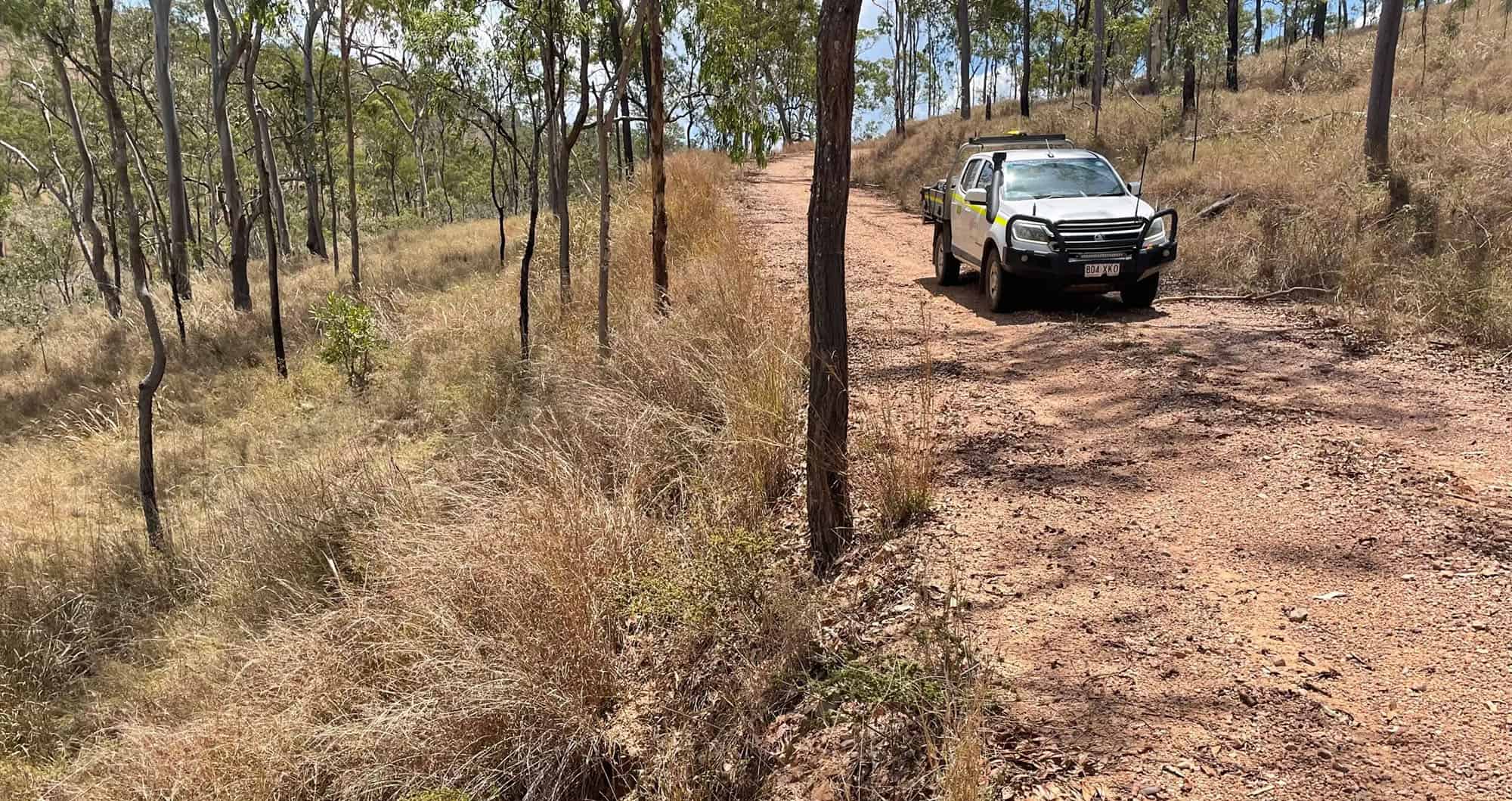 Existing access track through the Townsville Field Training Area showing native woodland and project surroundings.