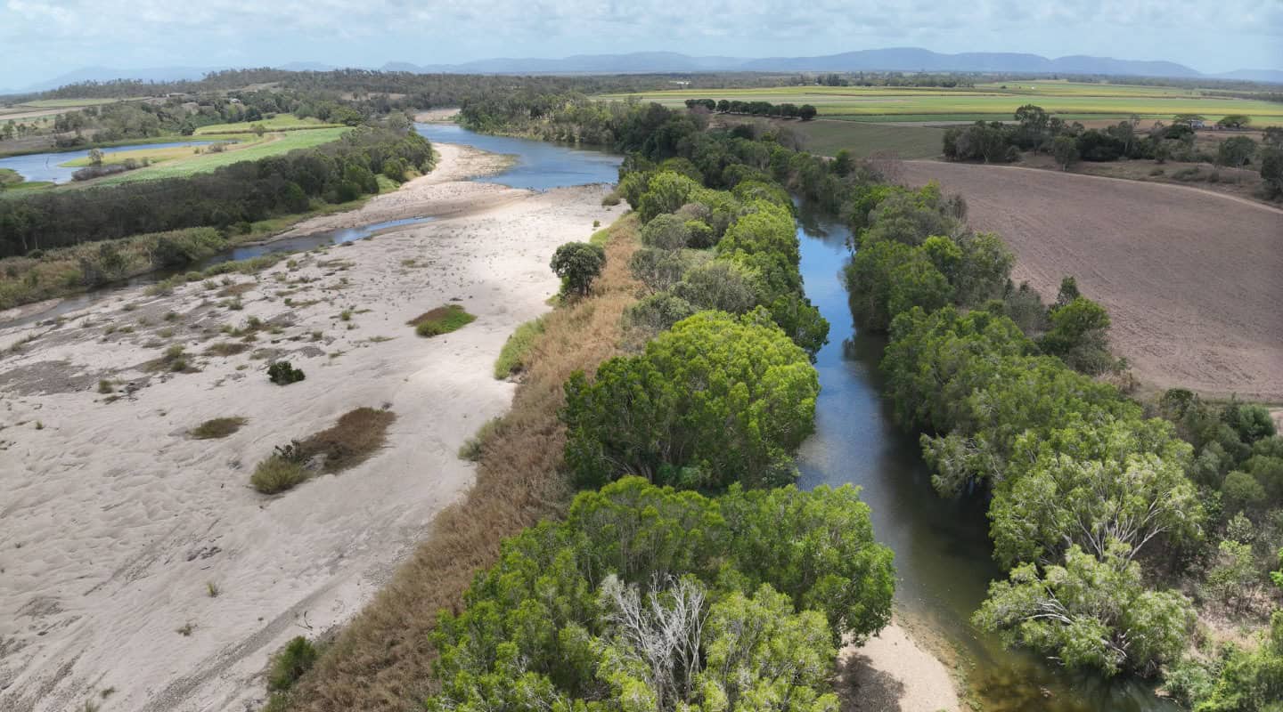 Tidal creek and surrounding mangrove landscape in North Queensland.