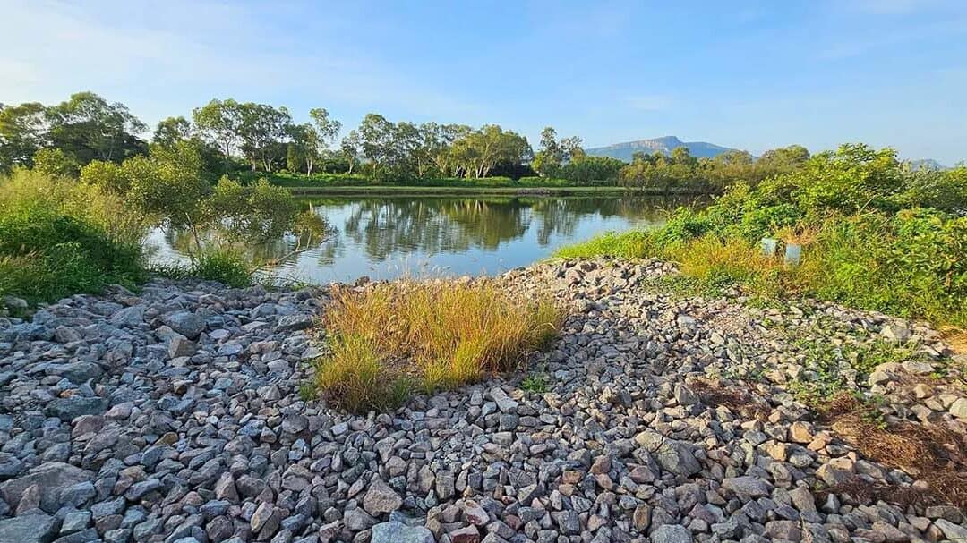 Ross River at Bicentennial Park