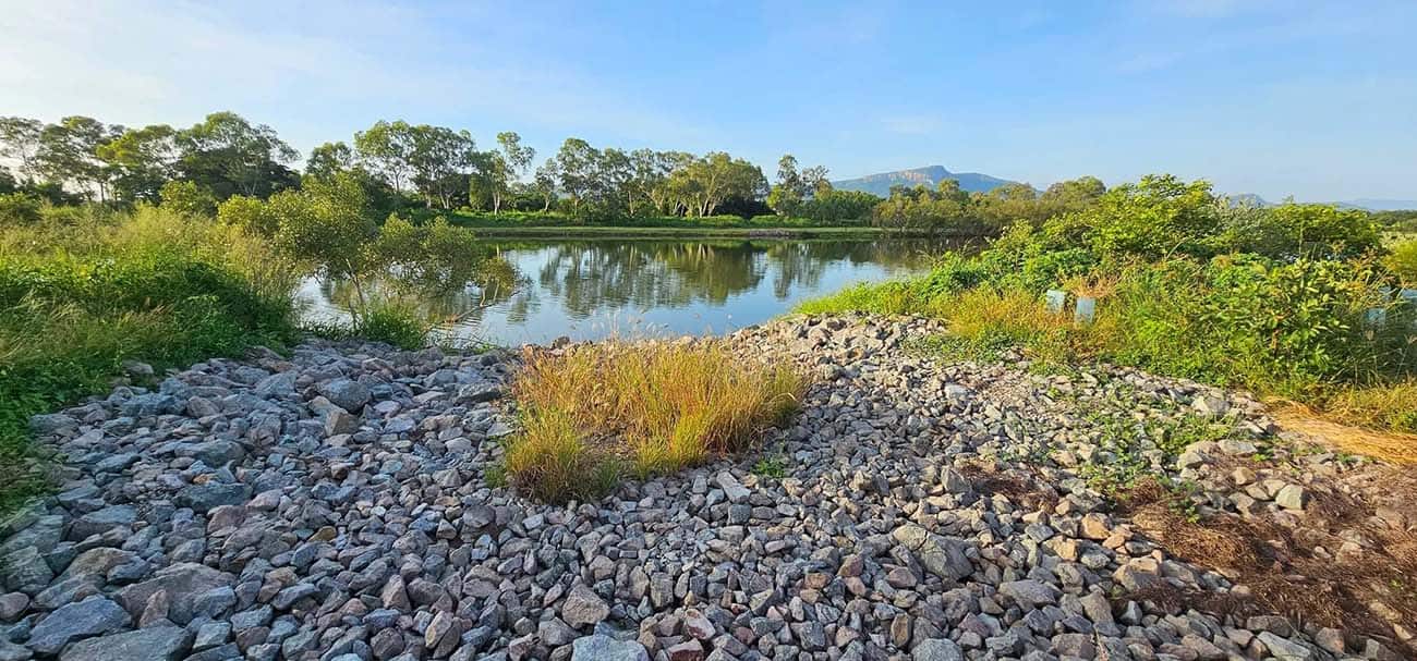 View of the rehabilitated Ross River bank at Bicentennial Park showing rock armouring and native vegetation.